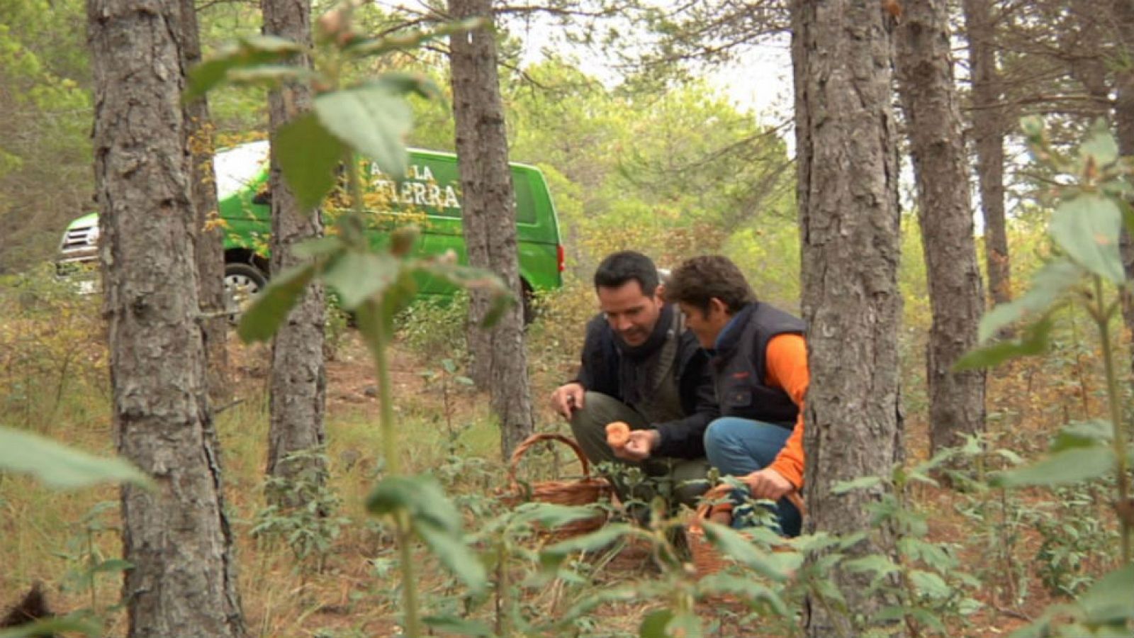 Un pueblo que tiene ¡hasta pregonero!