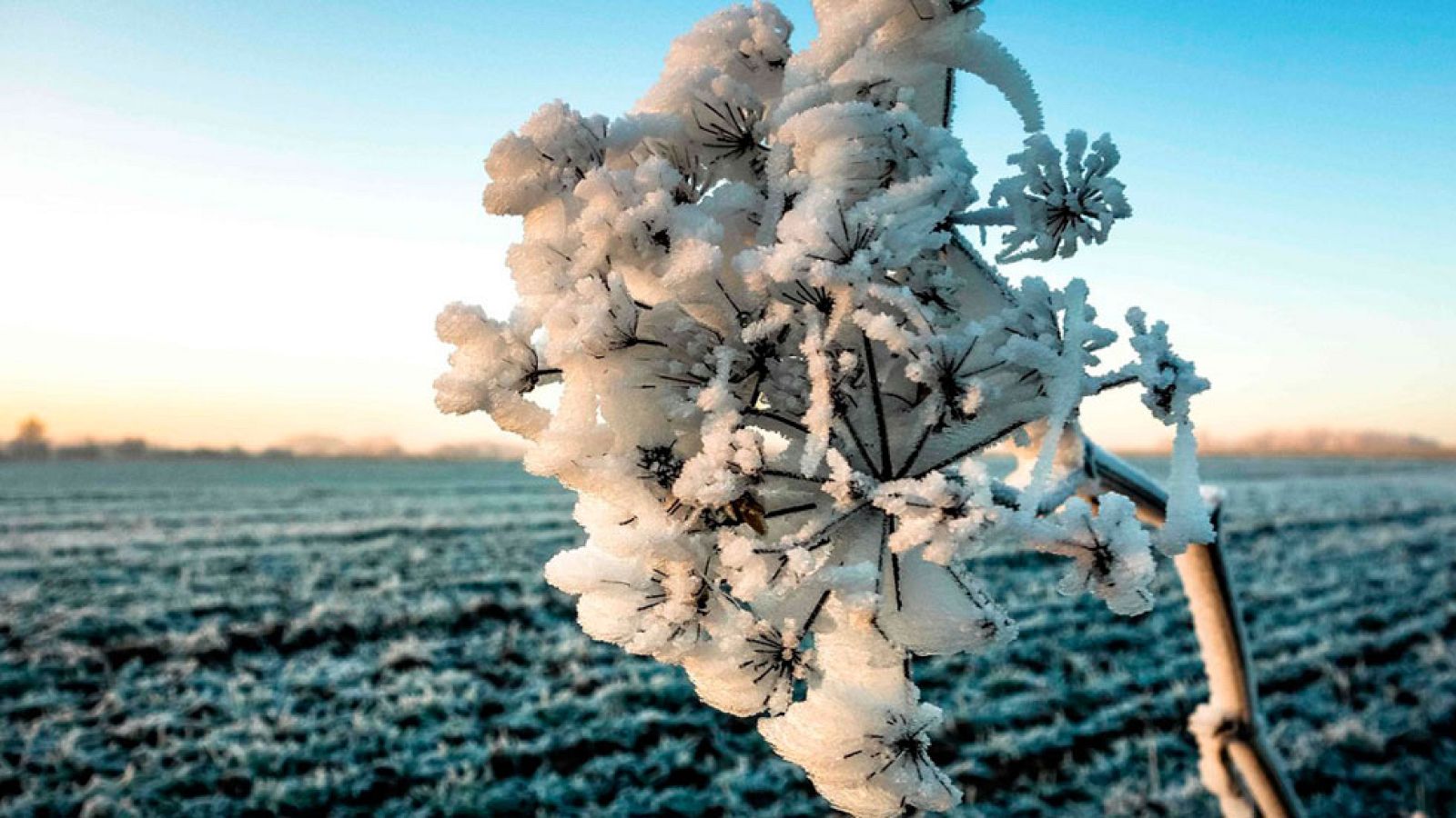 20 provincias en alerta por mínimas de hasta -7 grados