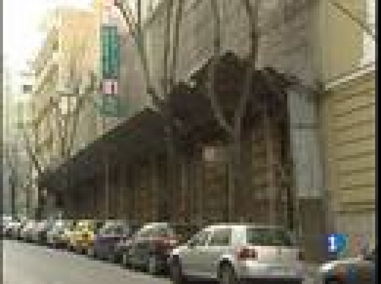 Salvar el Beti Jai | Ver