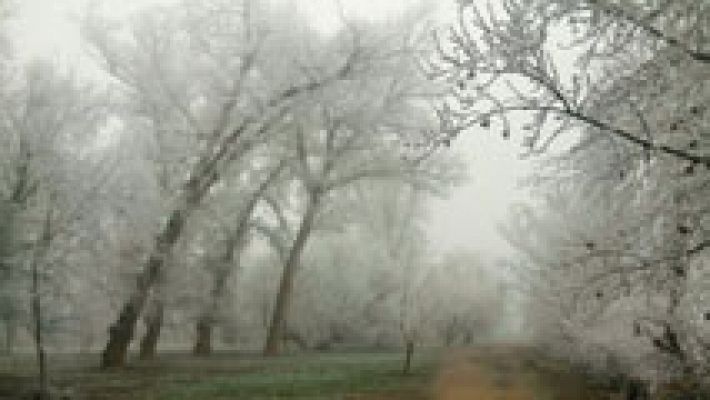 Heladas y niebla en el interior peninsular