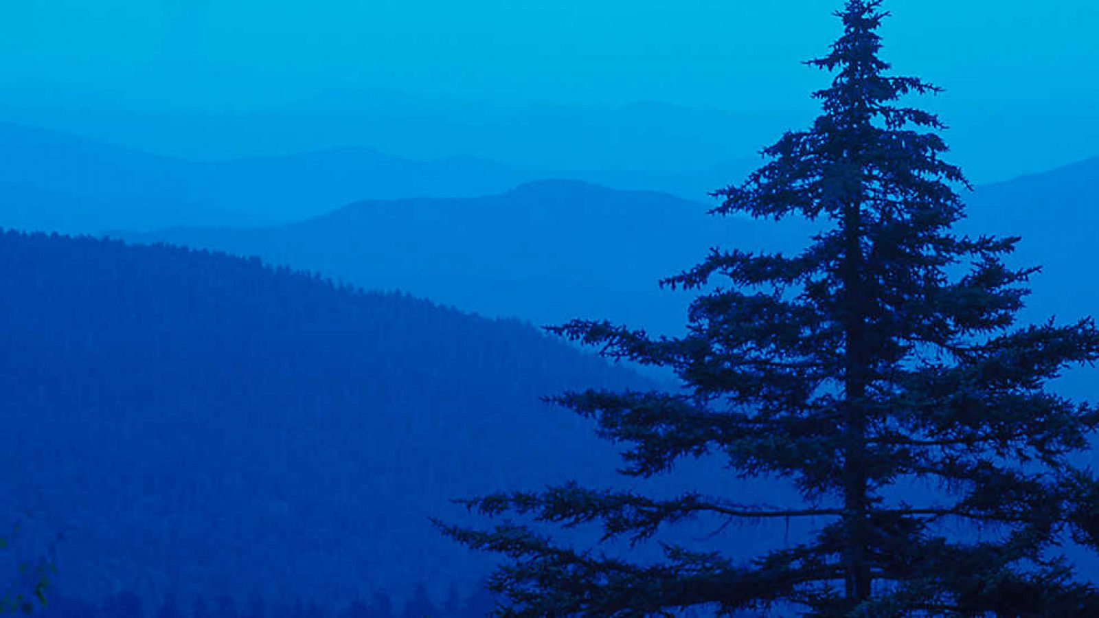 Grandes documentales - Parques nacionales norteamericanos: Las montañas Great Smoky
