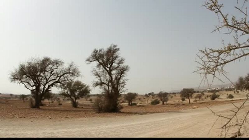 Rally Dakar 2017 - 1� etapa: Asunci�n-Resistencia - ver ahora 