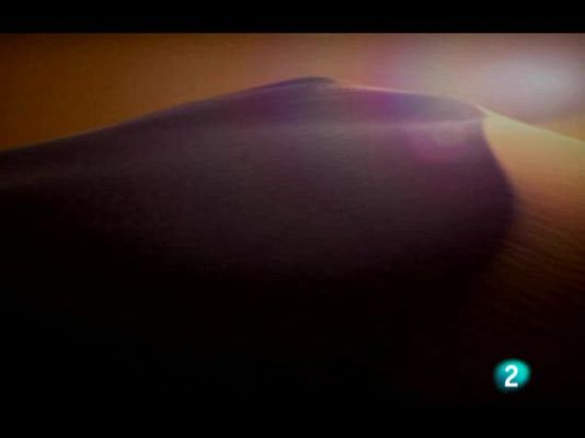 Dakar - Resumen de la 15ª y última jornada