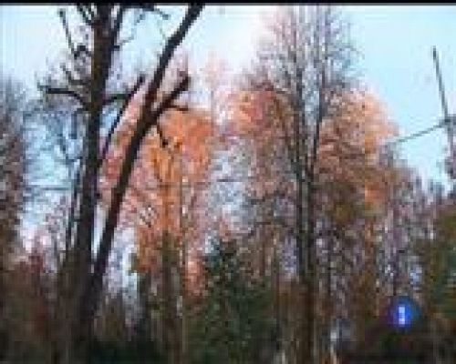 Panorama Regional - El tiempo en Asturias - 04/01/17