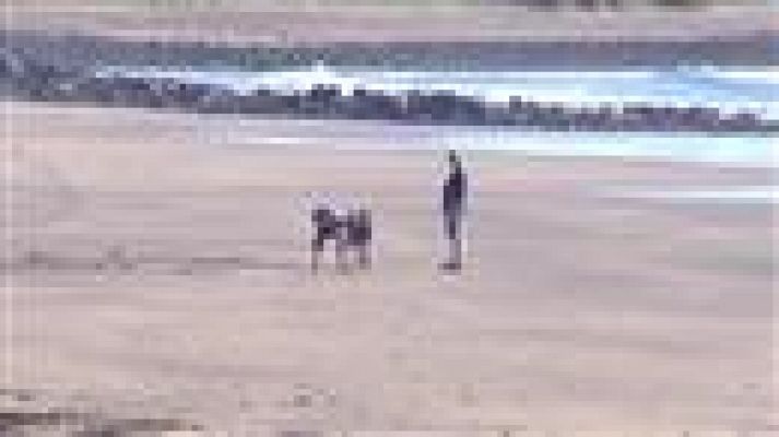 Telecanarias - El tiempo en Canarias - 04/01/2017