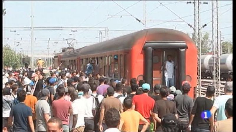 L'Ibavi cedeix 10 habitatges a la Creu Roja per als refugiats 