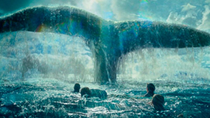 Documenta2 - Moby Dick: El corazón de la ballena - ver ahora