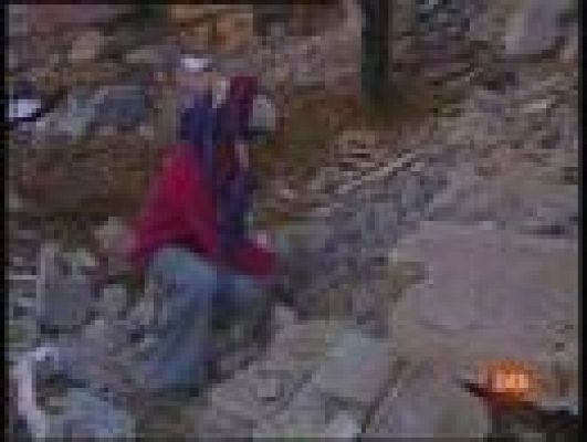  - Primera noche de calma en Gaza