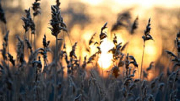 El tiempo - Un total de 17 provincias estarán en alerta amarilla por bajas temperaturas