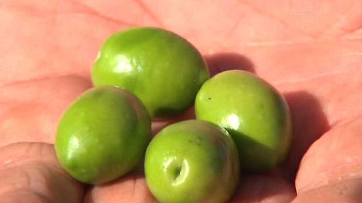 Agrosfera - Agrosfera - 07/01/17