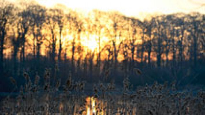 El tiempo - Cielos poco nubosos y heladas en el interior peninsular