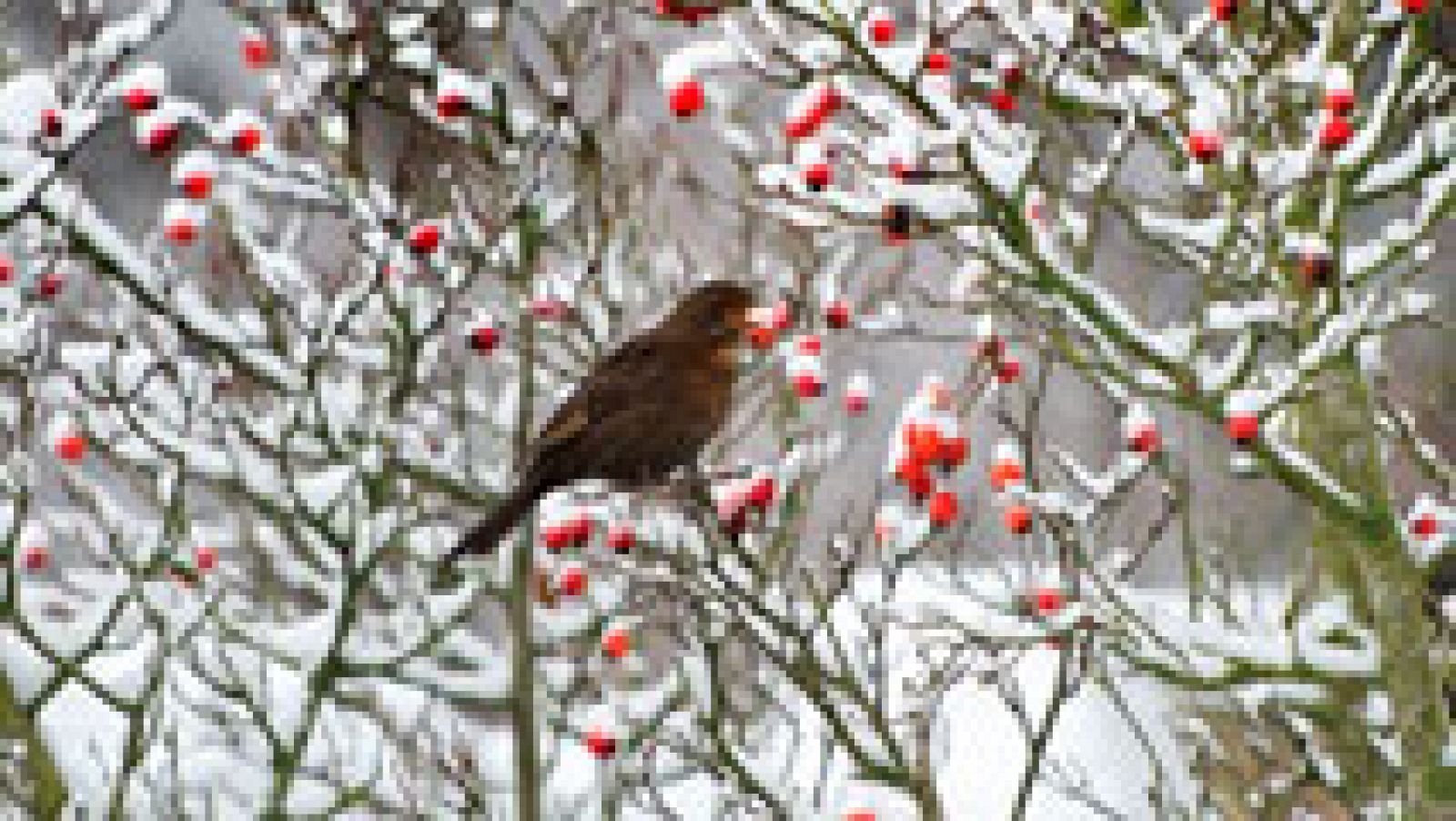 Nuboso o con intervalos nubosos en Pirineos y Canarias occidentales