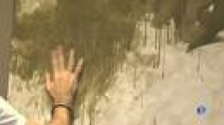 L'Informatiu - "Natures", la nova exposició en solitari del pintor Antoni Borrell