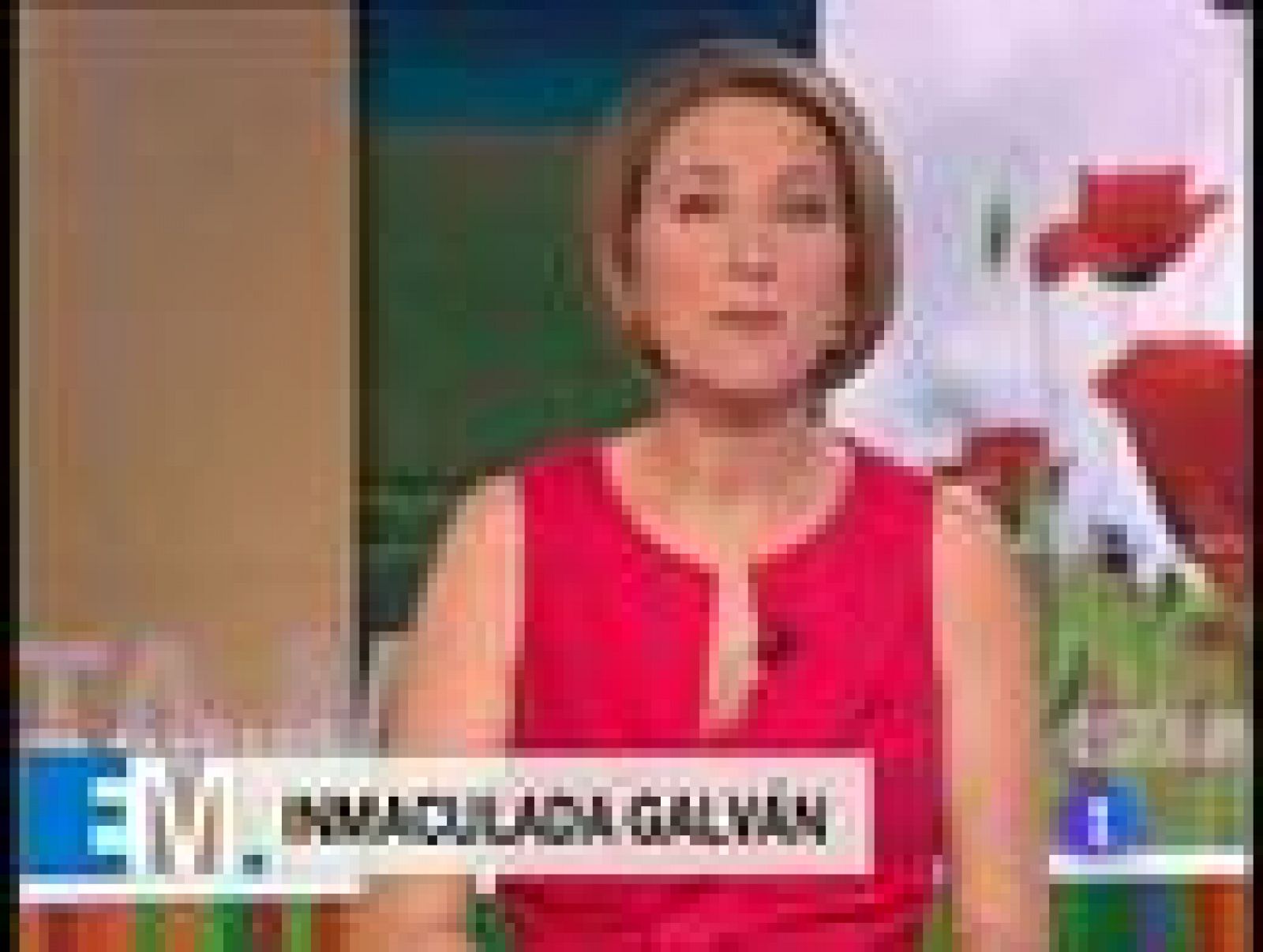 Esta mañana - 19/01/09 - Esta mañana | Ver