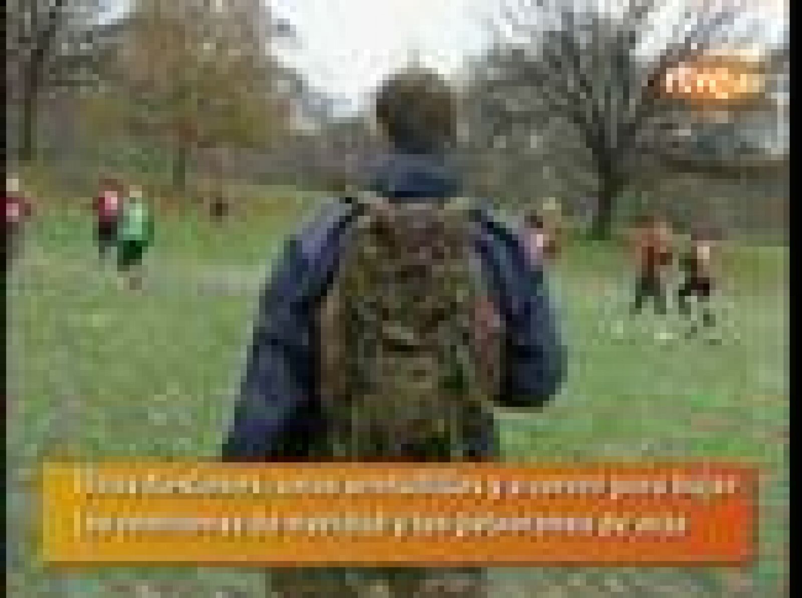 Sin programa: Ponerse en forma en el parque | RTVE Play