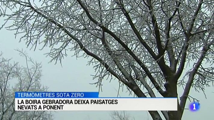 L'Informatiu - El temps - 09/01/2017