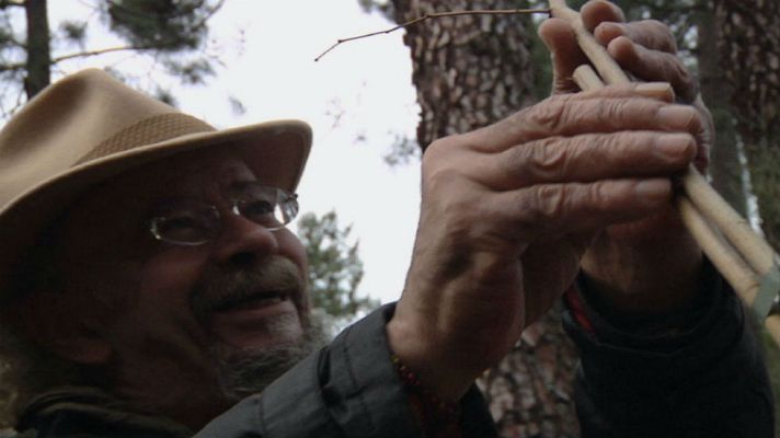 Aquí la Tierra - ¿Cómo plantar un árbol?