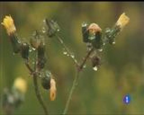 Panorama Regional - El tiempo en Asturias - 10/01/17