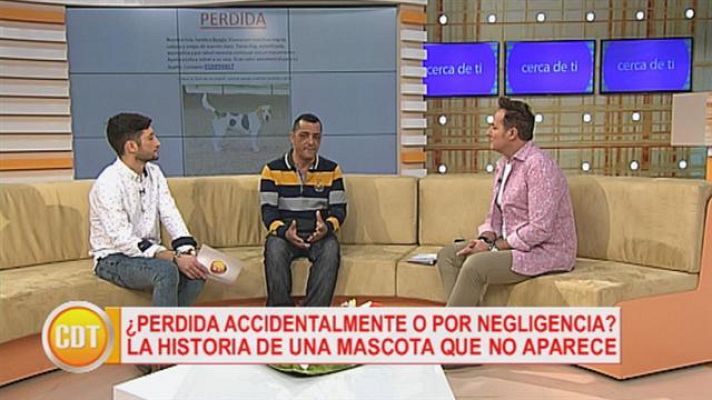 Cerca de ti - Cerca de ti - 10/01/2017