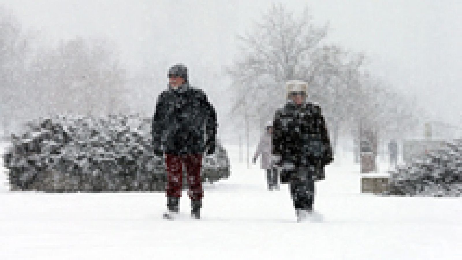 Telediario 1: El frío polar congela Europa y deja casi un centenar de muertos | RTVE Play