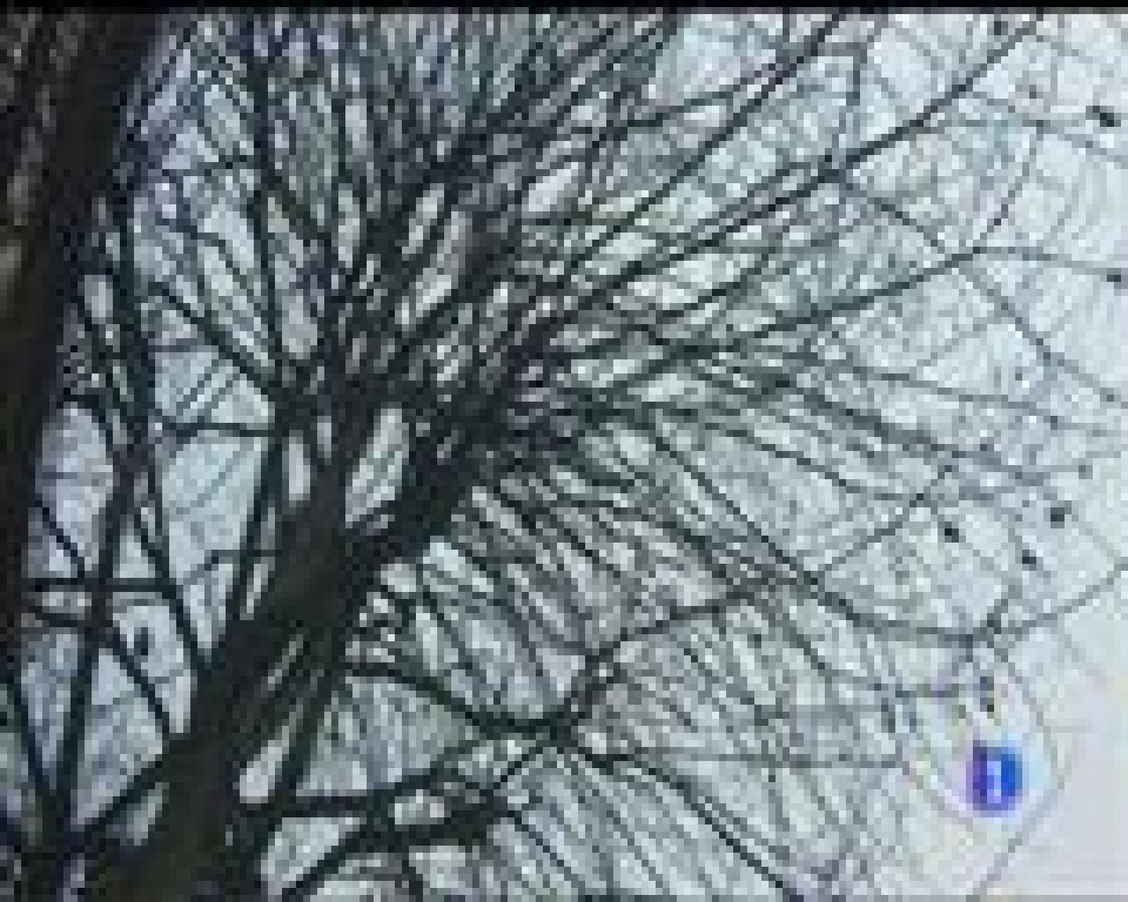 El tiempo en Asturias - 11/01/17 | Ver