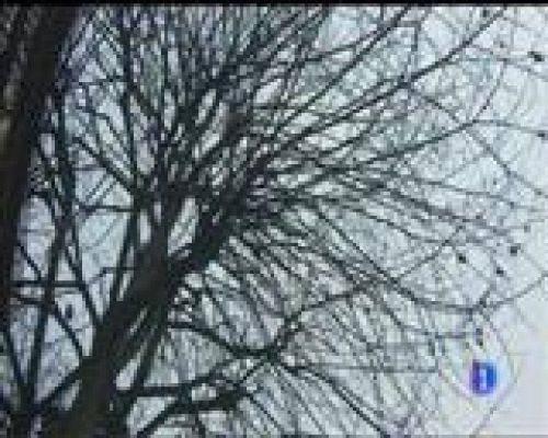 Panorama Regional - El tiempo en Asturias - 11/01/17