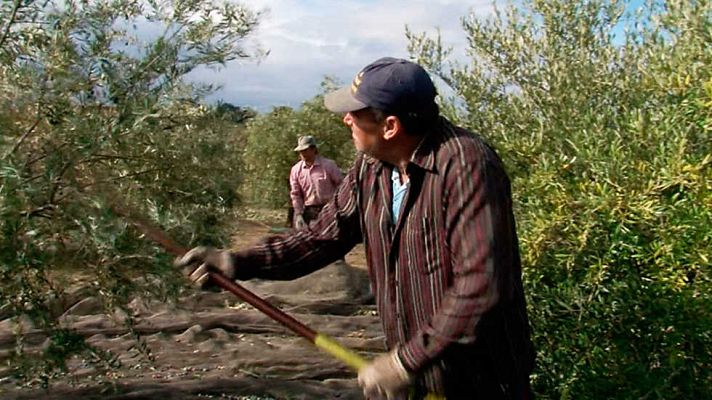 Comando Actualidad - Virgen Extra