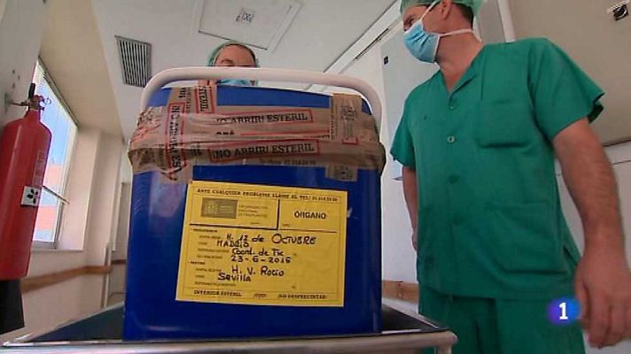 L'informatiu - Comunitat Valenciana - L'Informatiu - Comunitat Valenciana 2 - 12/01/17