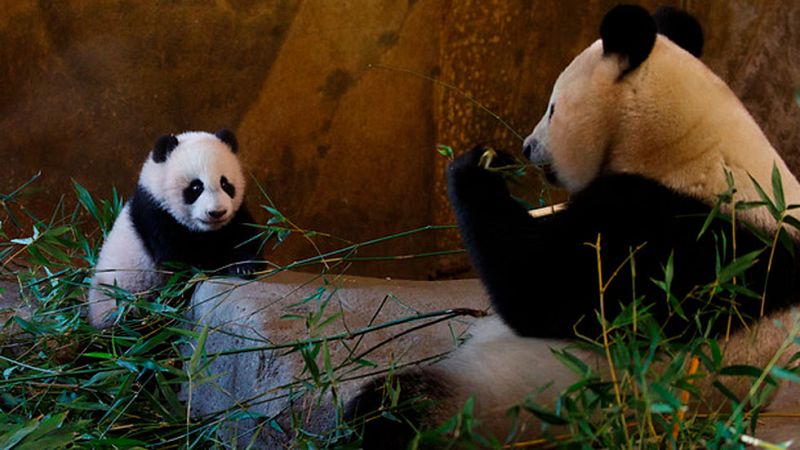 Informativo de Madrid 2 - 12/01/17