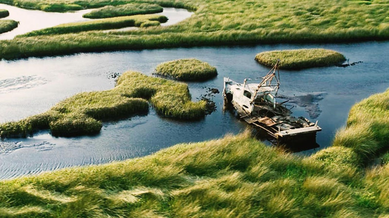 Grandes documentales - Parques nacionales norteamericanos: Los Everglades