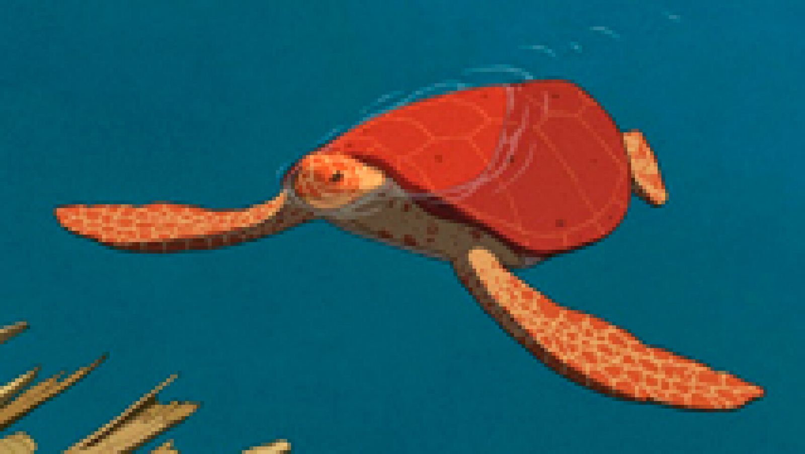 'La tortuga roja'