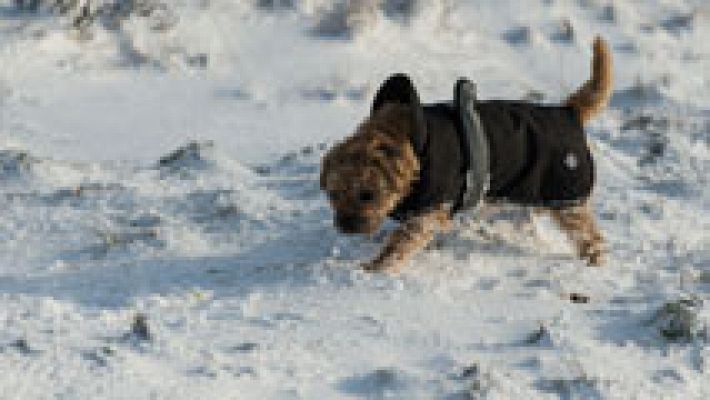 Nieve en cotas bajas del norte y Baleares y helará en el interior