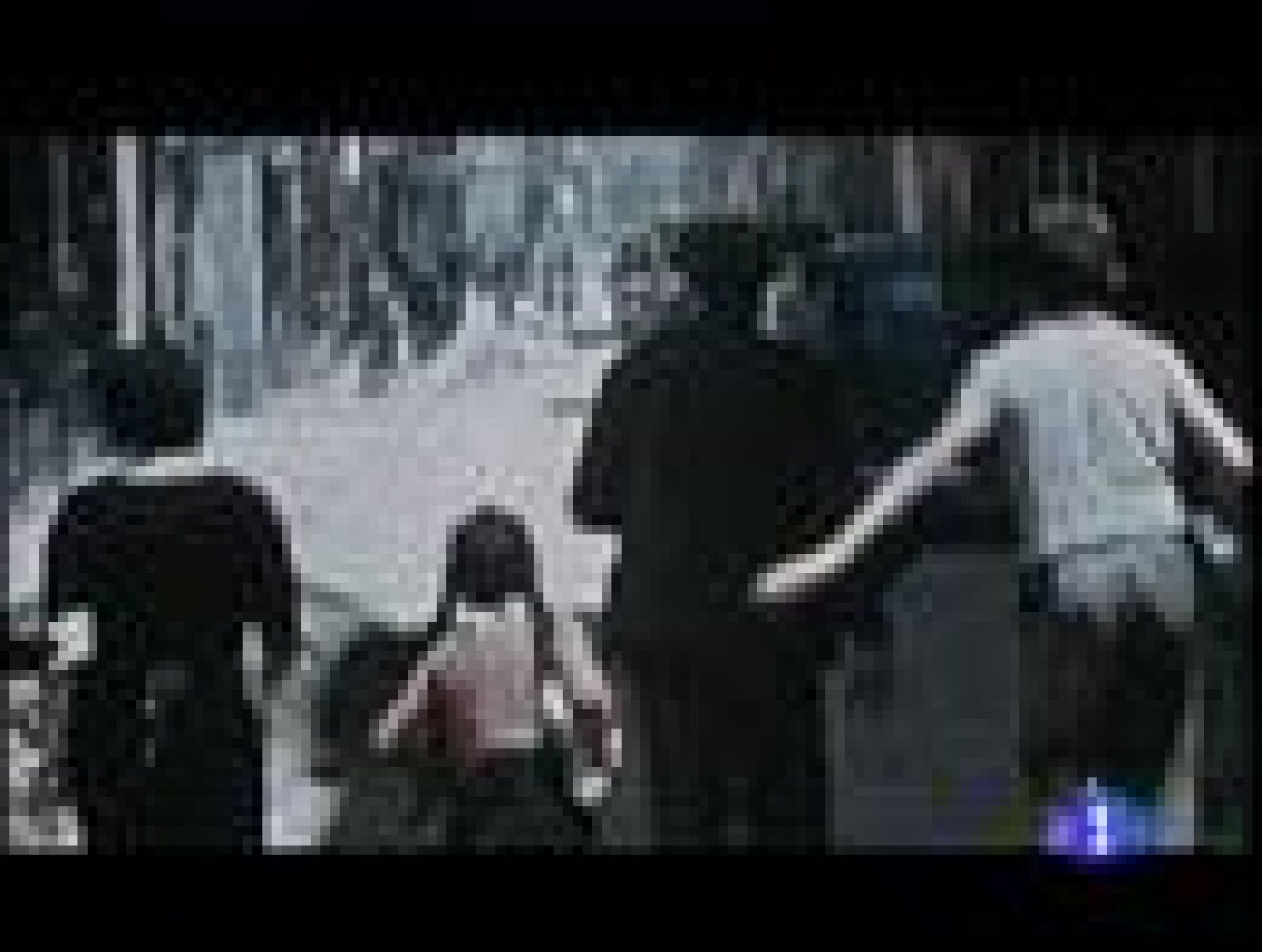 El próximo viernes llega a los cines "La mujer del anarquista" | Ver