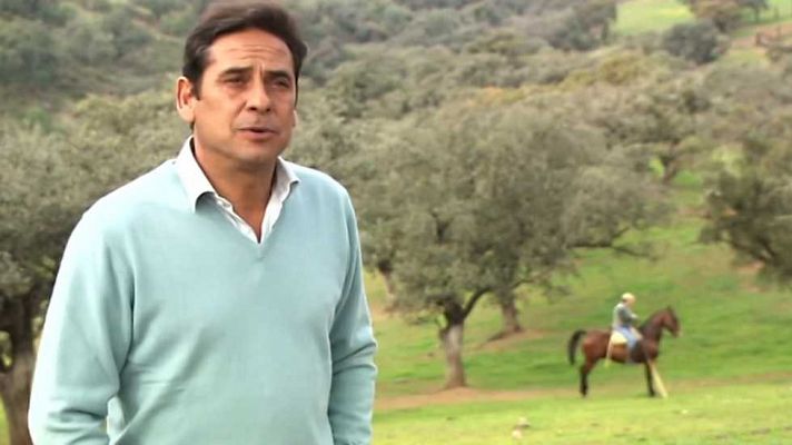 Tendido cero - Tendido Cero - 14/01/17