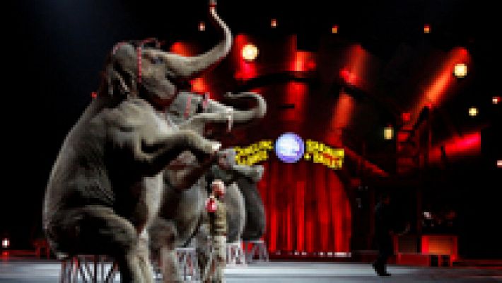 Informativo 24h - El Circo Ringling cierra sus puertas tras casi siglo y medio de actividad