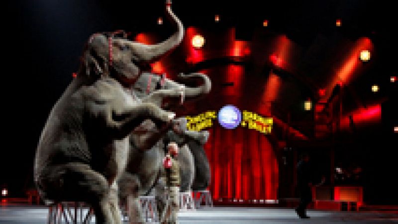 El Circo Ringling cierra sus puertas tras casi siglo y medio de actividad