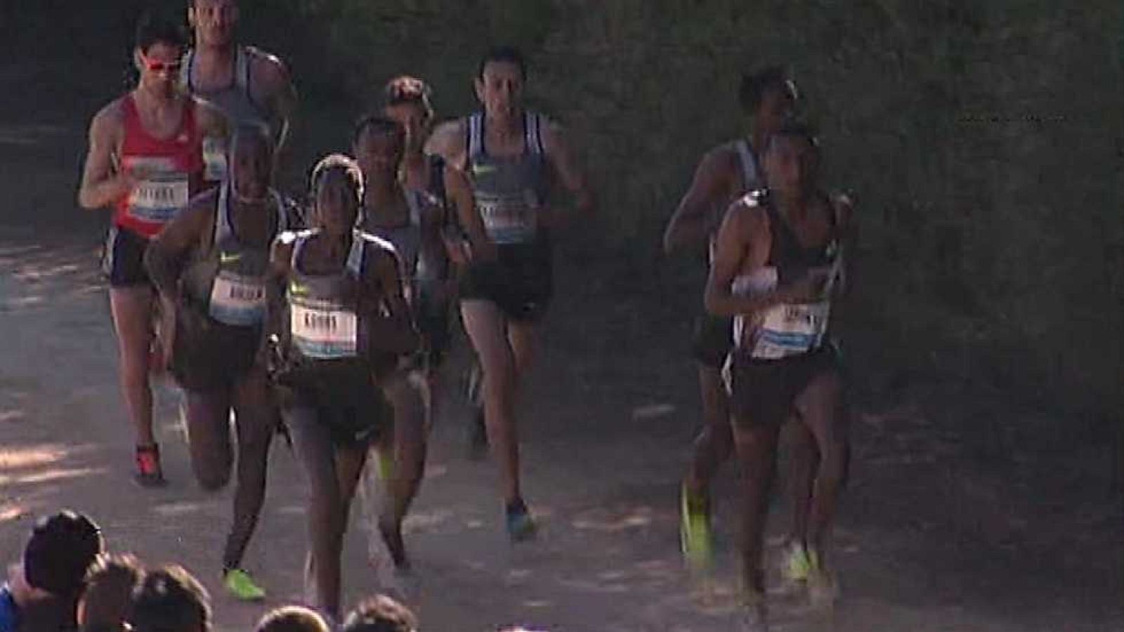 Cross de Itálica - Carrera masculina - ver ahora