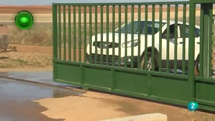 Agrosfera - Granjas punteras