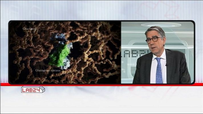 IDIBAPS, un ejemplo de medicina traslacional