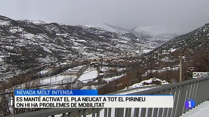 L'Informatiu en 3' - 16/01/2017