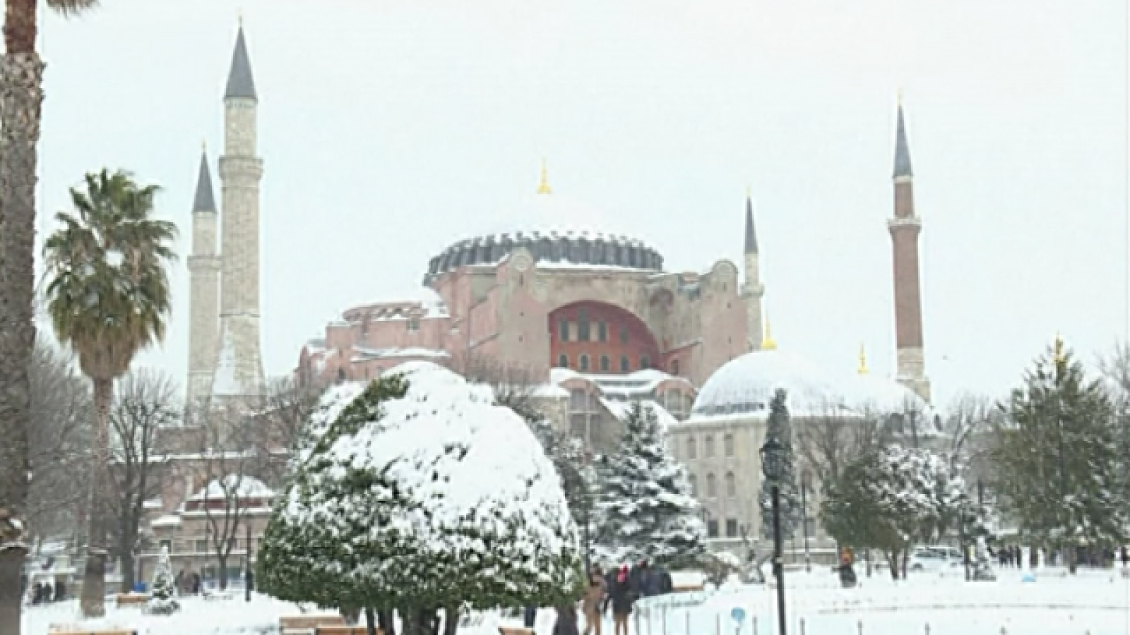 Teleplaneta - 16/01/2017