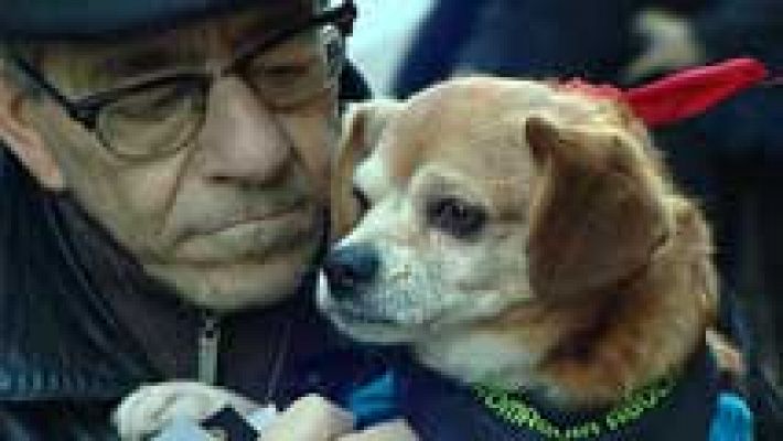 Informativo de Madrid - La Comunidad de Madrid en 4' - 17/01/17