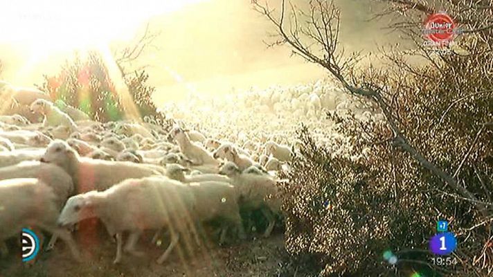 España Directo - España Directo - 17/01/17