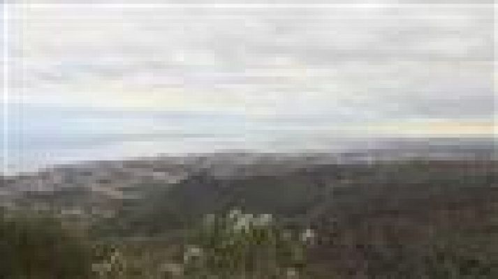 Telecanarias - El tiempo en Canarias - 18/01/2017