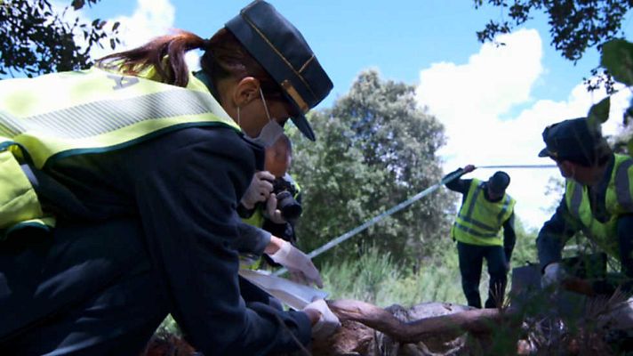 Ciencia forense - El asesino del círculo