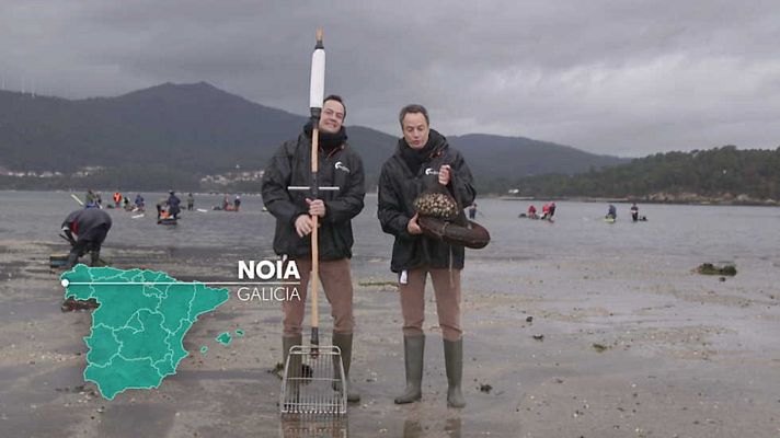Torres en la cocina - Costas de Galicia