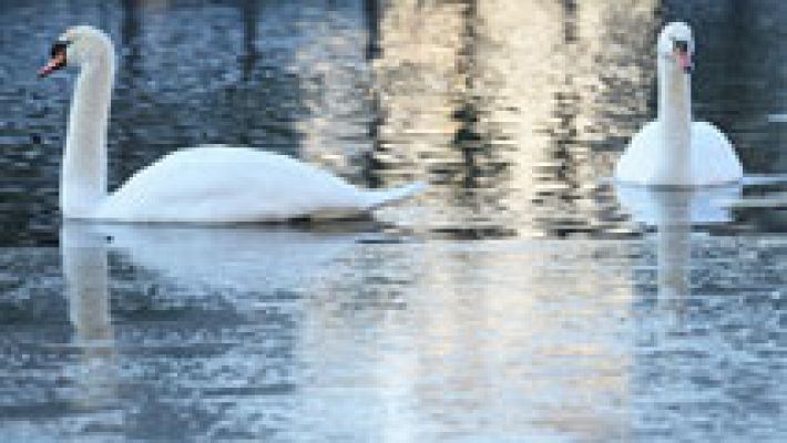 Informativo de Madrid - El Tiempo en la Comunidad de Madrid - 19/01/17