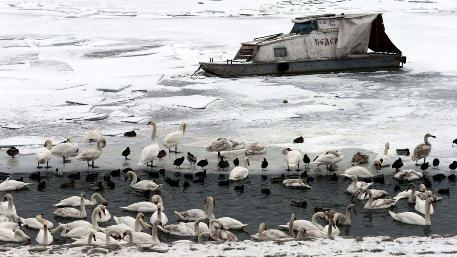 El temporal de frío y nieve sigue golpeando a varios países de Europa