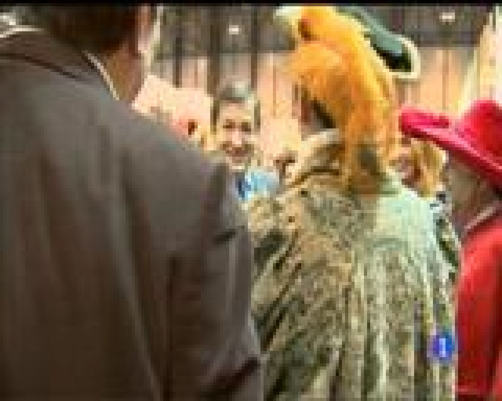 Panorama Regional - 20/01/17 | Ver