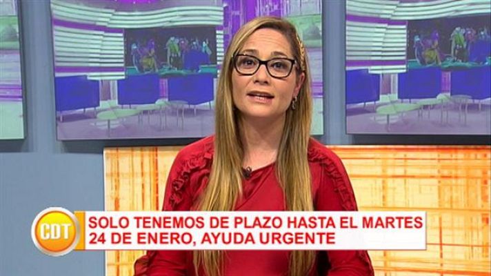 Cerca de ti - Cerca de ti - 20/01/2017